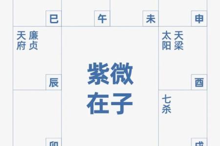 2025年4月20日子时女命紫微斗数全解盘