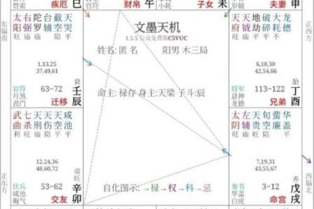 2025年4月29日丑时男命紫微斗数全解盘
