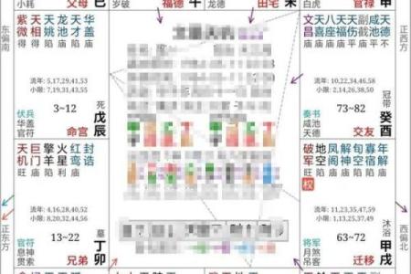 2025年4月29日戌时女命紫微斗数全解盘
