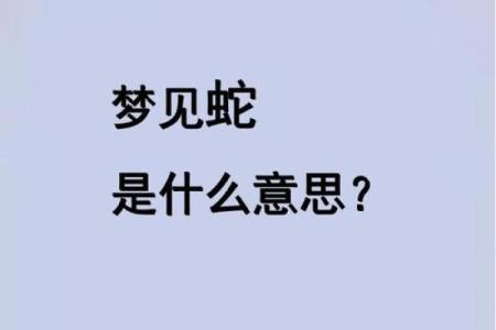 梦见蛇上身是什么预兆 女性