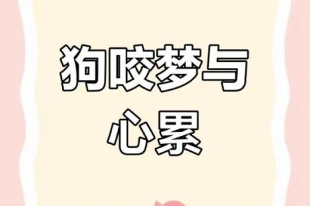 梦见小狗要咬自己什么预兆
