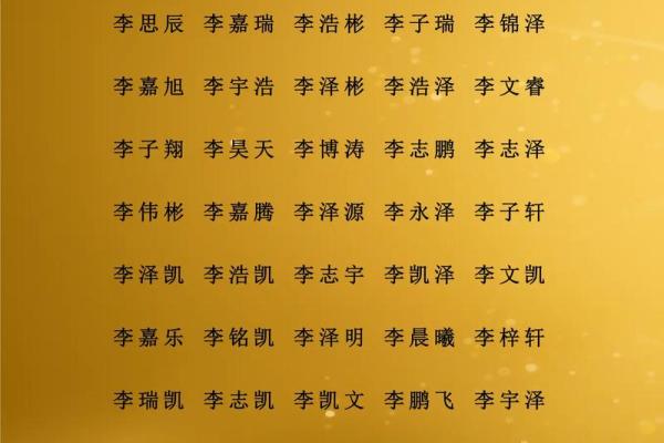 支姓男孩名字大全-支姓男孩起名字大全-支姓名字大全姓名