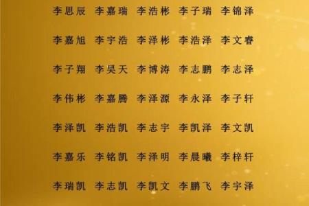 支姓男孩名字大全-支姓男孩起名字大全-支姓名字大全姓名