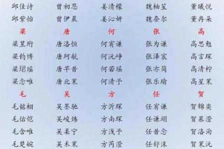 唐姓男孩名字大全-唐姓男孩起名字大全-唐姓名字大全姓名