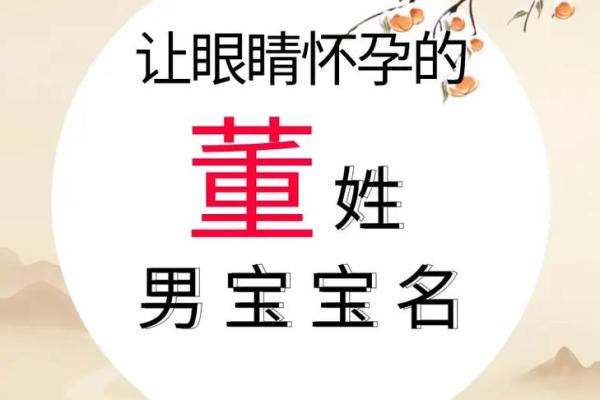 董姓男孩名字大全-董姓男孩起名字大全-董姓名字大全姓名