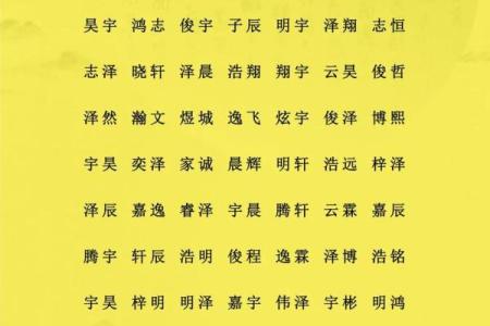 2019年6月16号寅时出生的男孩起名方法姓名