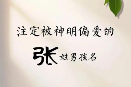 董姓男孩名字大全-董姓男孩起名字大全-董姓名字大全姓名